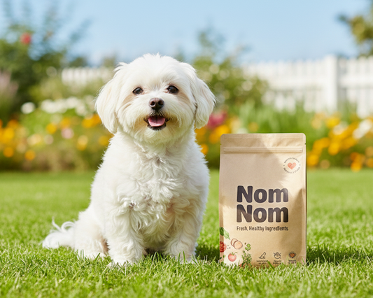 Pets Corner - Chicken, Veg & Rice (200g)